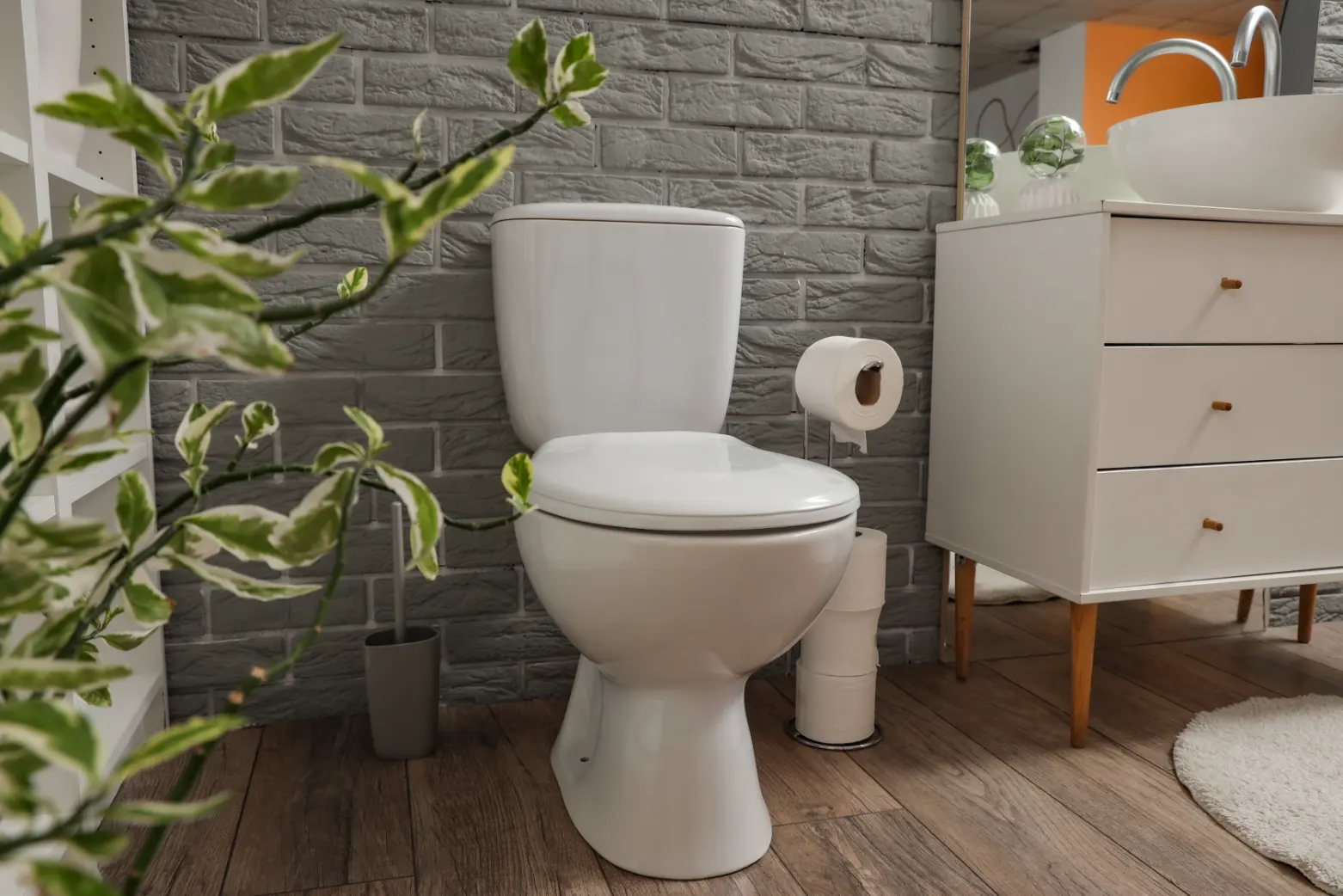 Plumbers in Katy, TX - Toilet 1