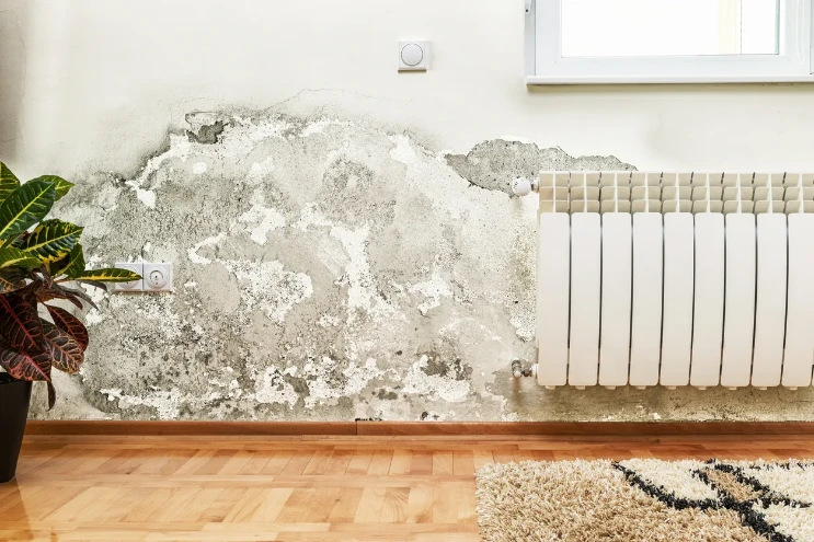 Slab Leak Repair in Richmond, TX 1 Plumbers in Katy, TX - slab leak 1
